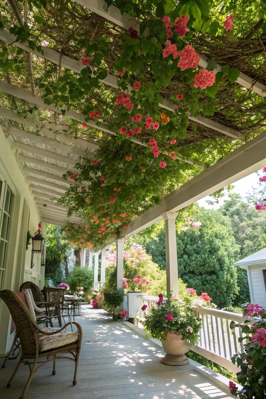 Back Porch Ceiling Ideas: Refresh Your Outdoor Space Easily