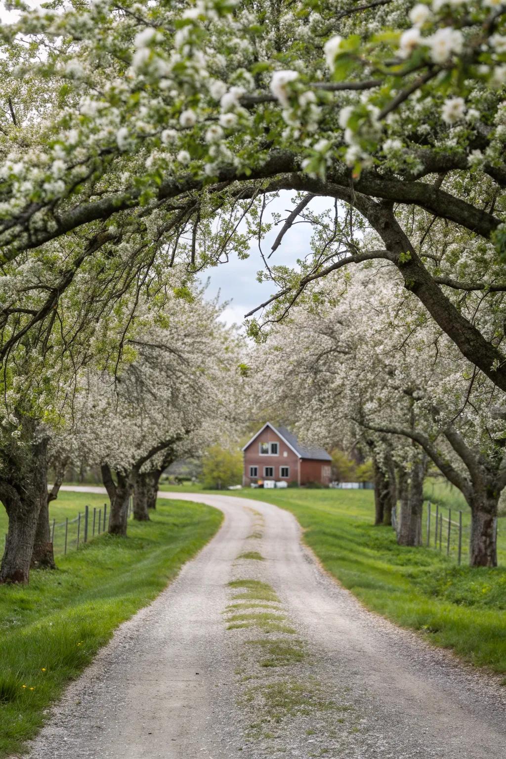 14+ Rural Driveway Entrance Ideas: Transform Your Home’s First Impression