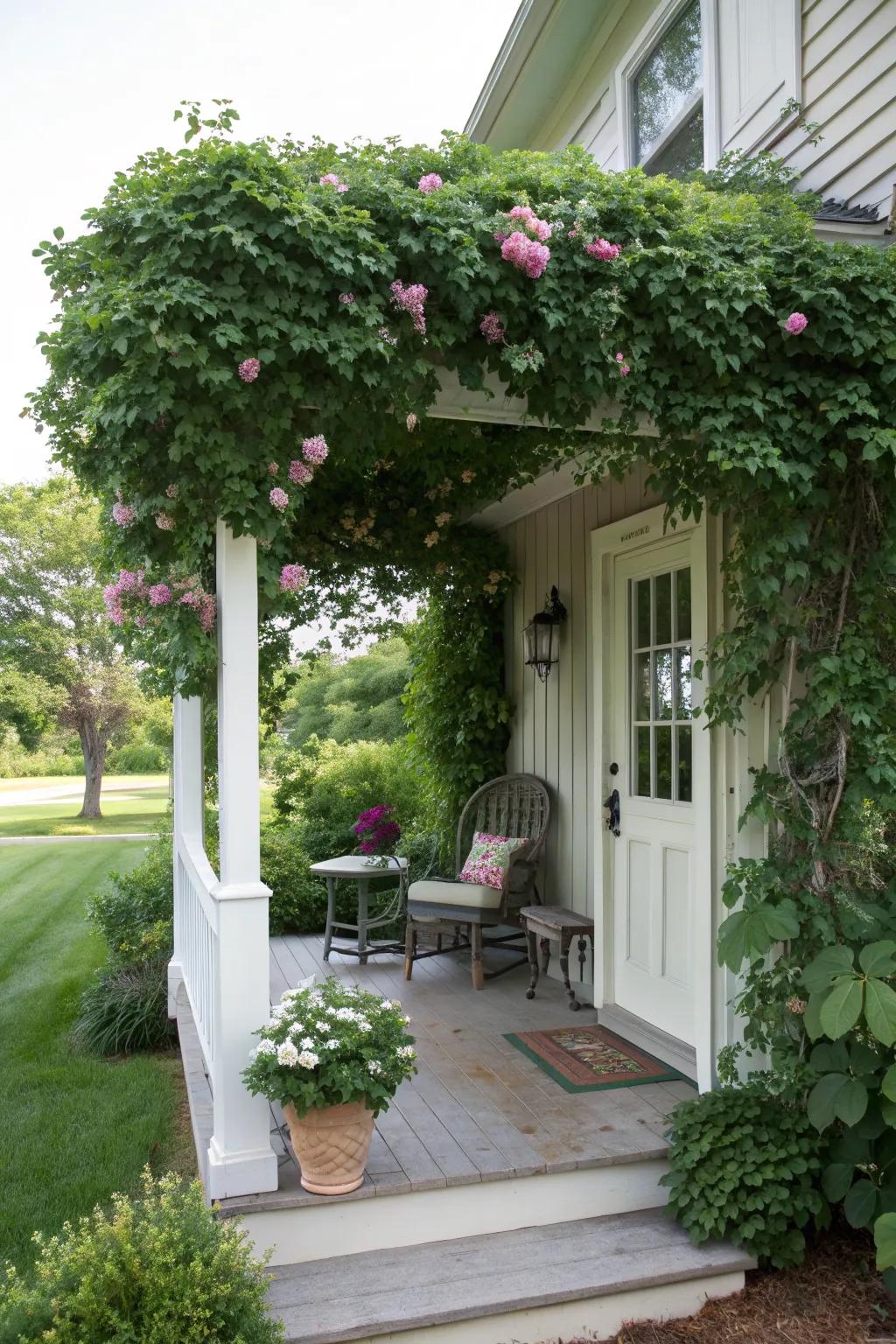 Front Yard Plant Ideas: Refresh Your Entrance with Simple Updates
