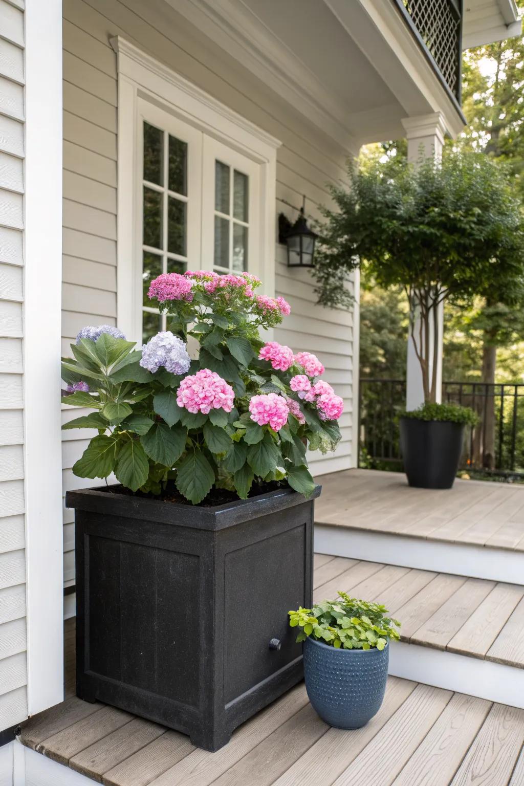 Porch Planter Box Ideas: Fresh Ways to Update Your Outdoor Space