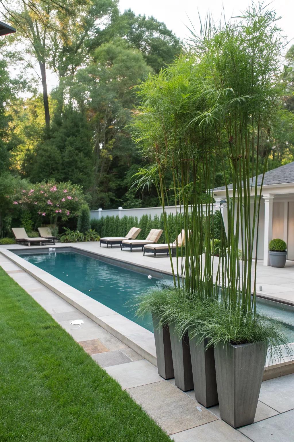 15+ Privacy Planter Ideas: Create Your Own Serene Garden Retreat