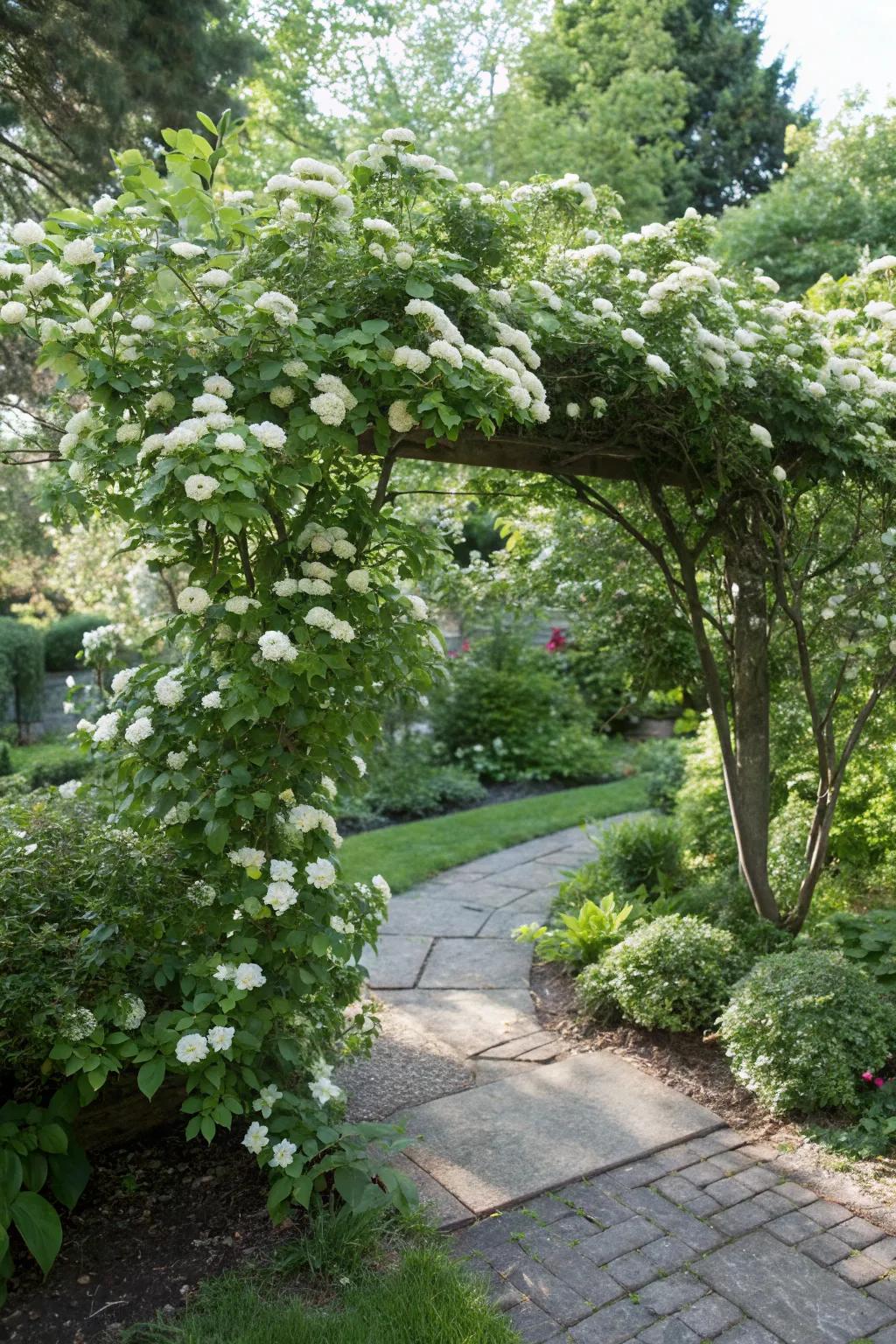 13+ Bush Shapes Ideas: Fresh Inspiration for Your Outdoor Space