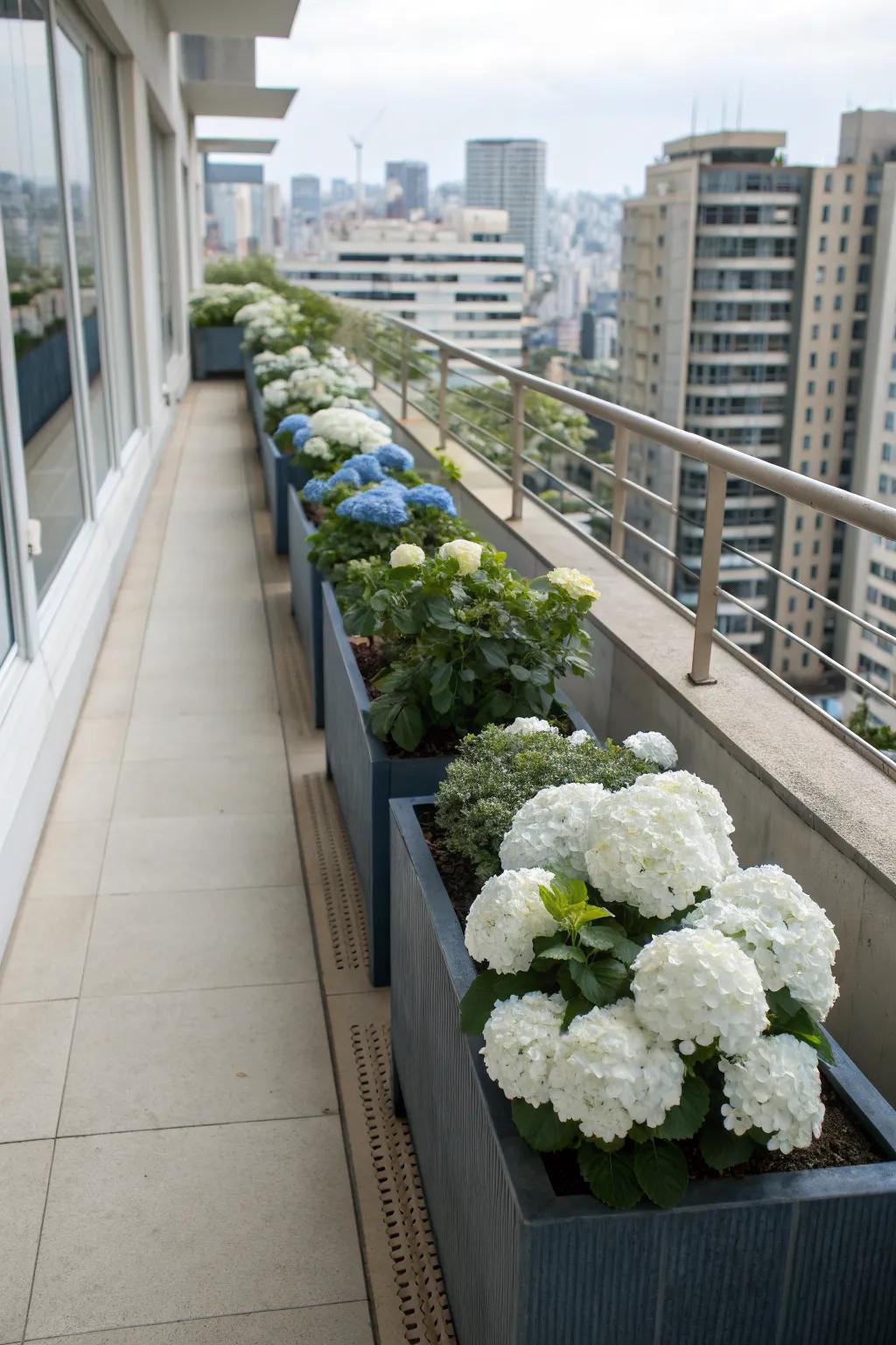 21+ Hydrangea Planter Ideas: Create a Calm Retreat in Your Backyard