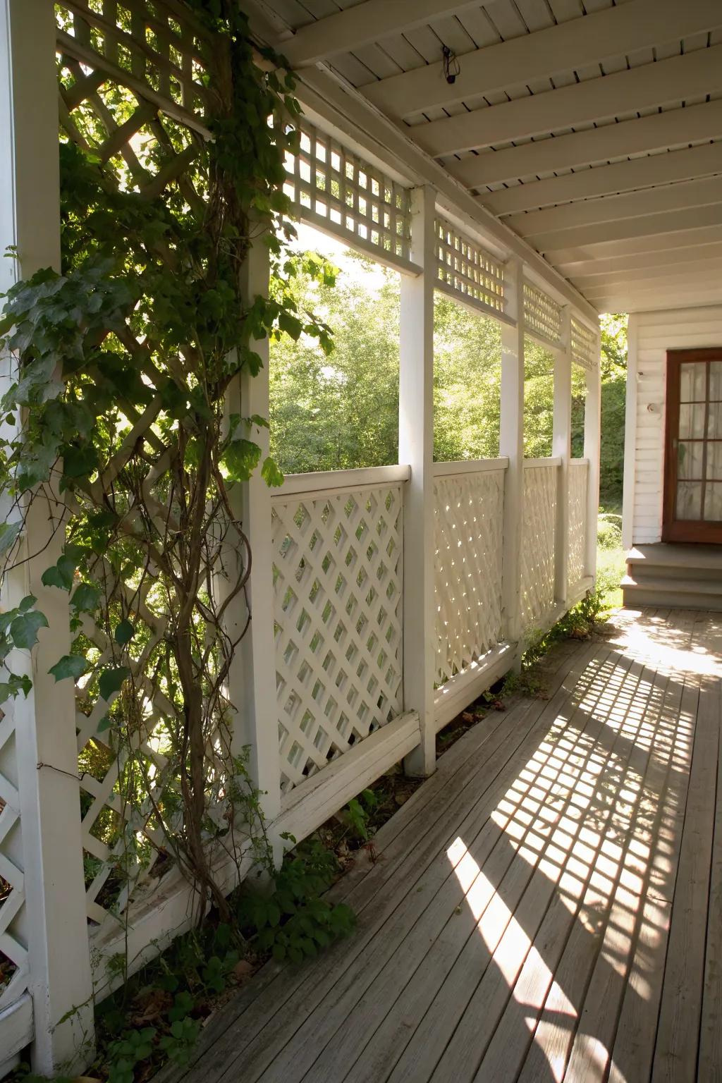 Small Front Porch Privacy Ideas: Fresh Ways to Transform Your Entry