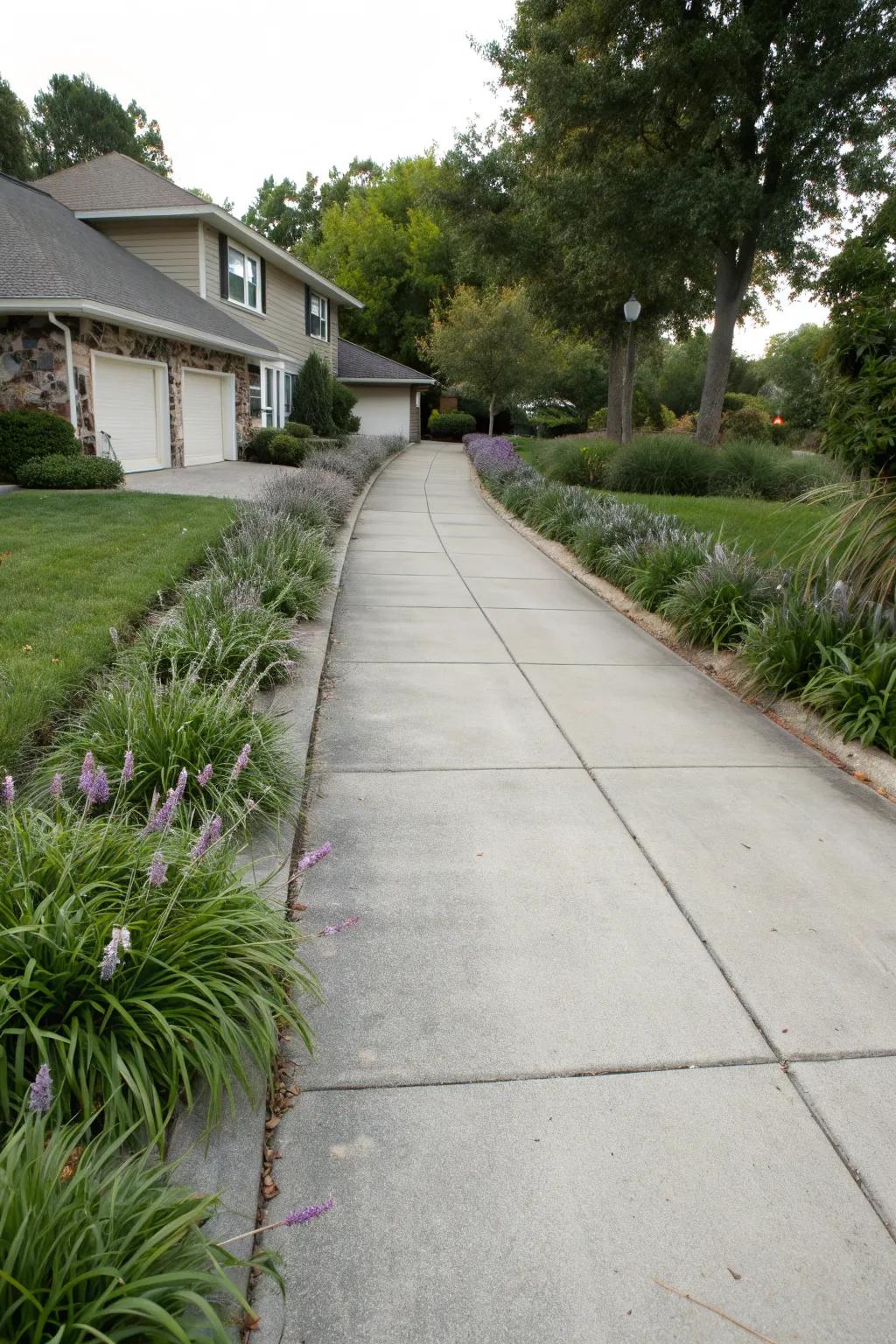 18+ Liriope Landscape Design Ideas: Refresh Your Garden Look Instantly