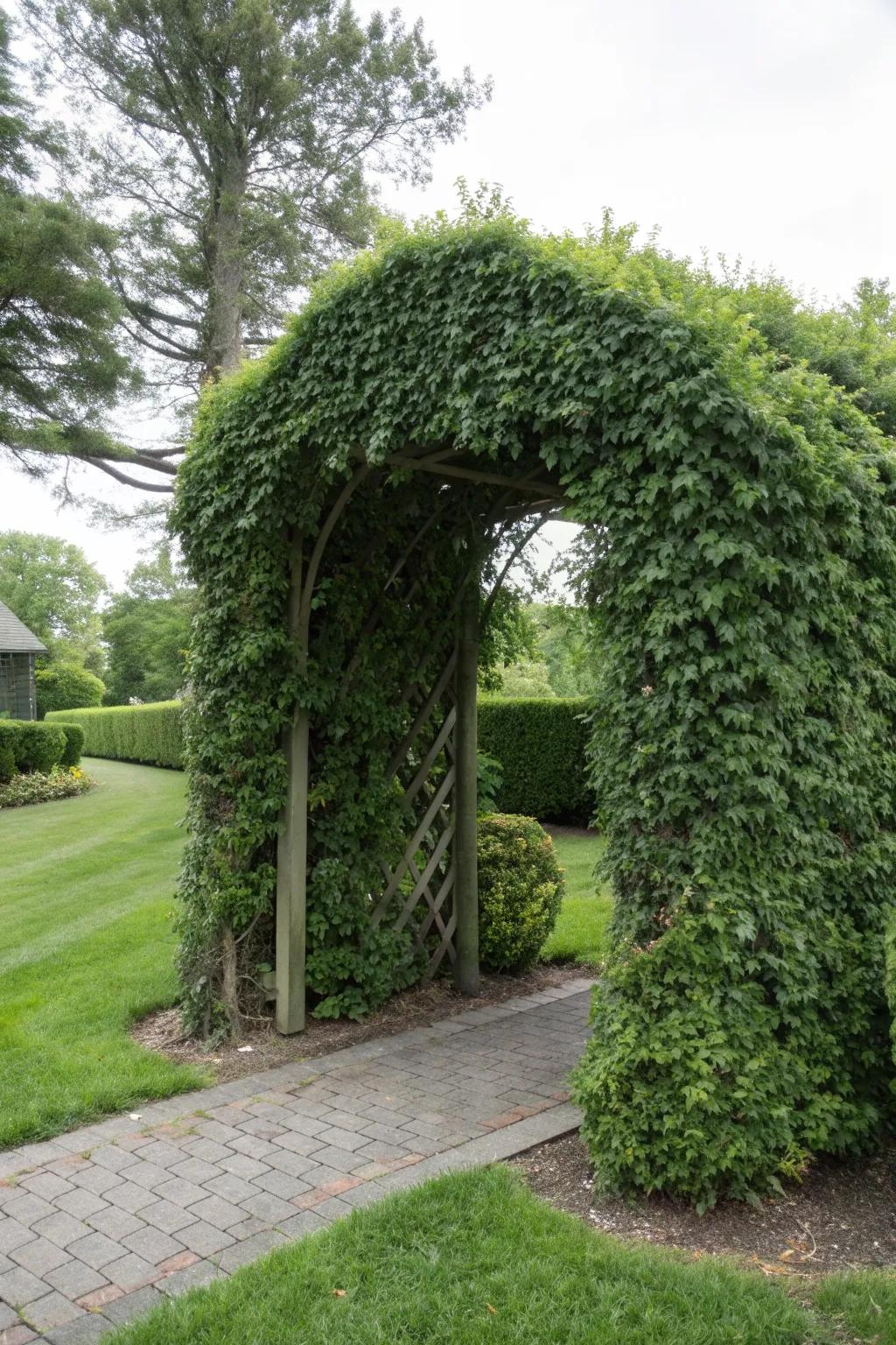 Arbor Ideas: Transform Your Garden’s Entrance with Timeless Charm