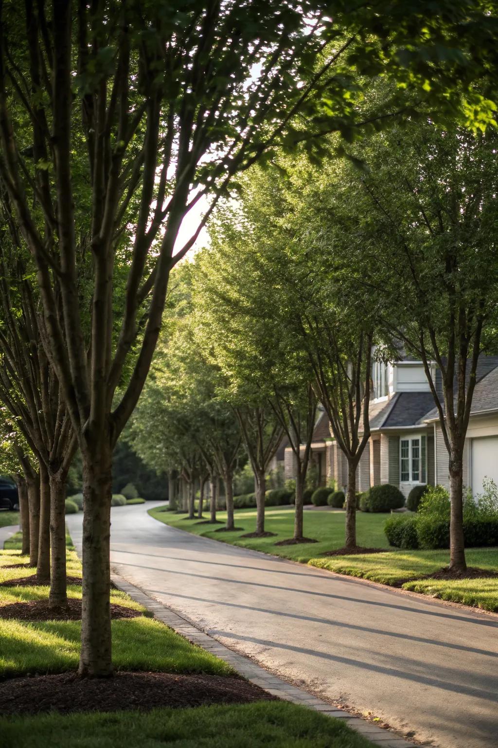 Separate Front Yard Property Line Ideas: Create Welcoming Borders