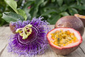Essbare Frucht Der Passionsblume 8 Buchstaben