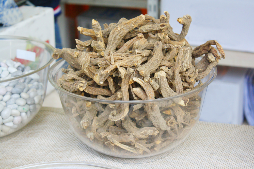 Gentian Root: Health Benefits and Natural Uses
