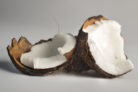 kokosnuss-aufbewahren