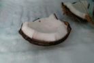 kokosnuss-einfrieren