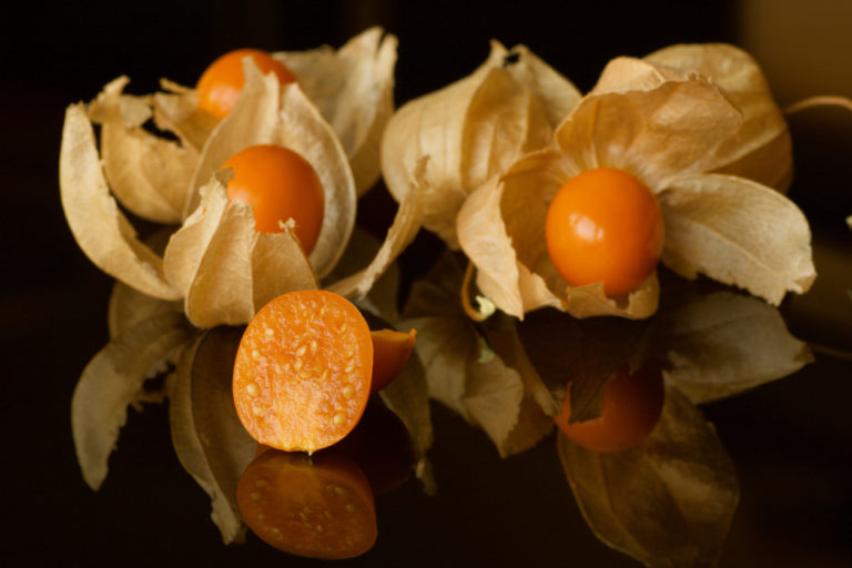 Physalis züchten - Wie gelingt es am besten?