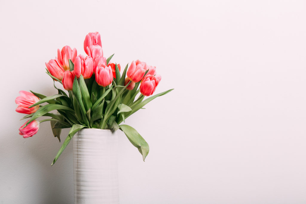 Wieviel Wasser Brauchen Tulpen In Der Vase Tulpen - Wie viel Wasser benötigt die Pflanz eigentlich?