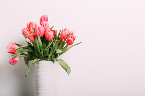 tulpen-wachsen-vase