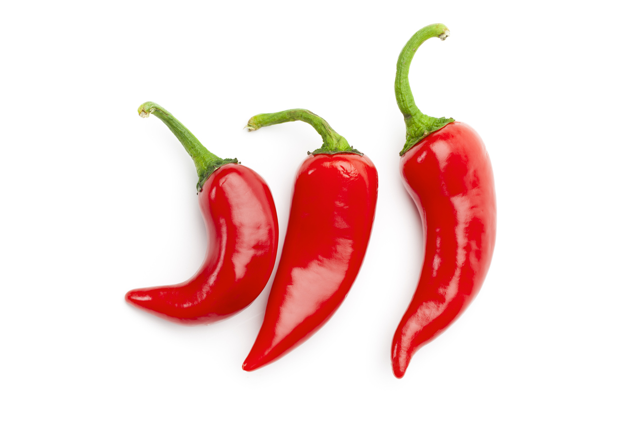 Peperoni selber ziehen Tipps zum Erfolg