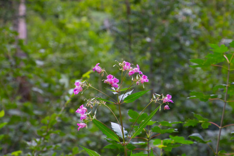 Indische Darstellerin Wird Feucht Indische Darstellerin Wird Feucht