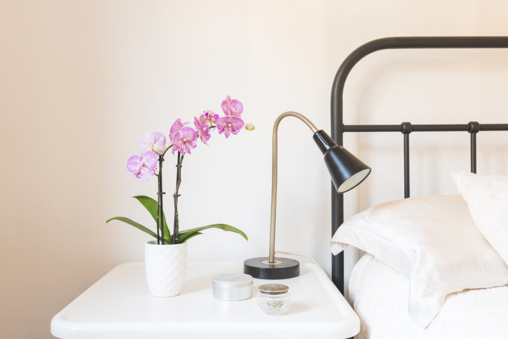 Orchideen im Schlafzimmer Ist das eine gute Idee?