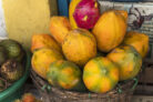 papaya-erntezeit