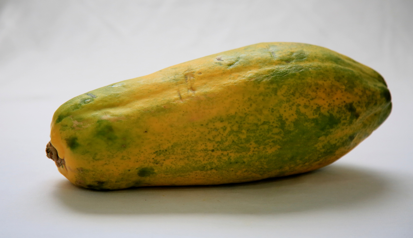 Offenbar Entwicklung von Nackt papaya reifen lassen Sessel Verletzt ...