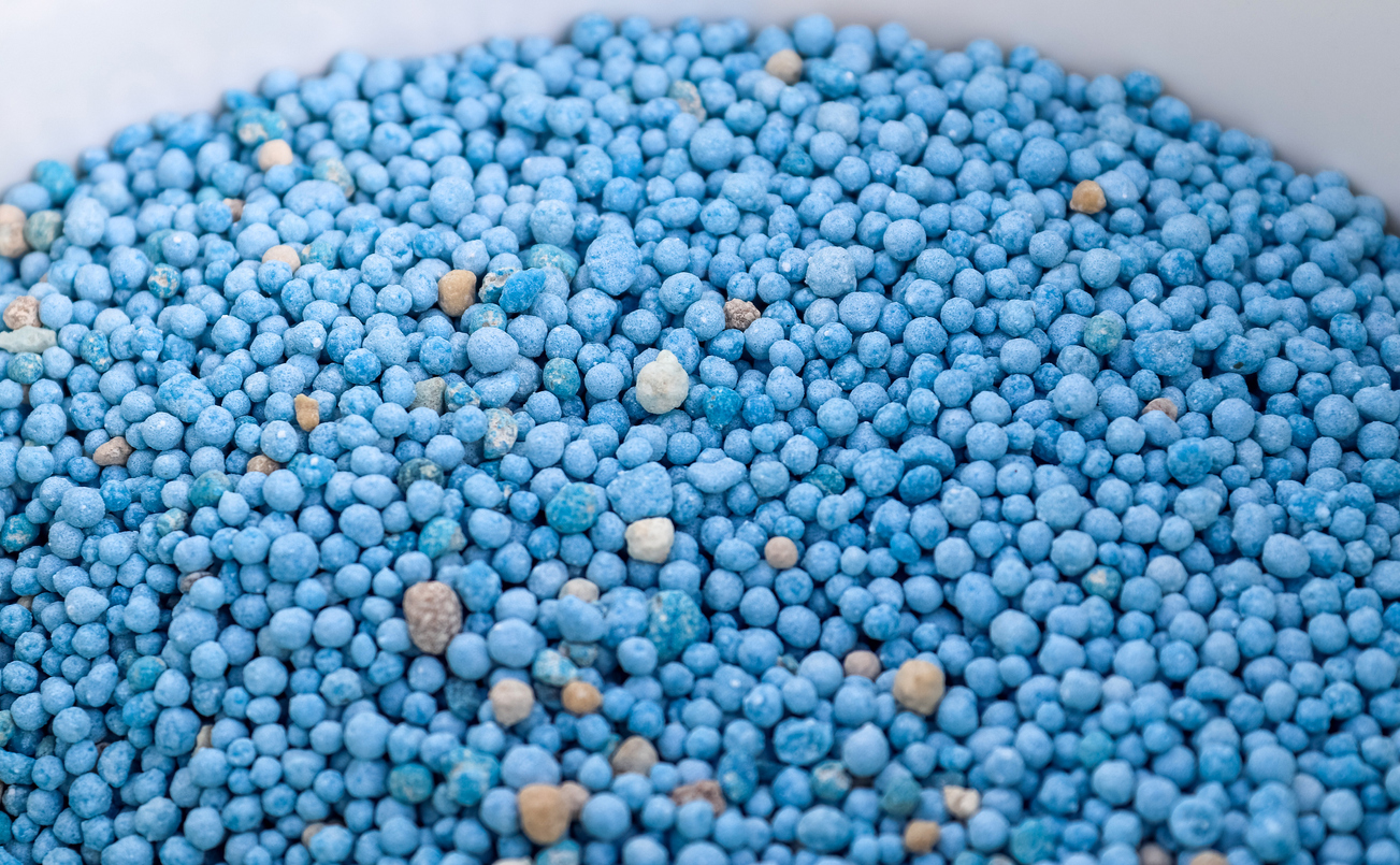 Buchsbaum mit Blaukorn düngen sich der Dünger?
