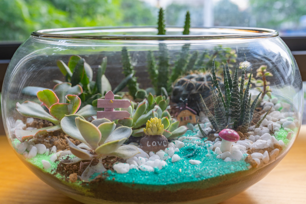 Stück Glas-Kaktus, mundgeblasene Figuren, Glas-Miniatur-Kaktus