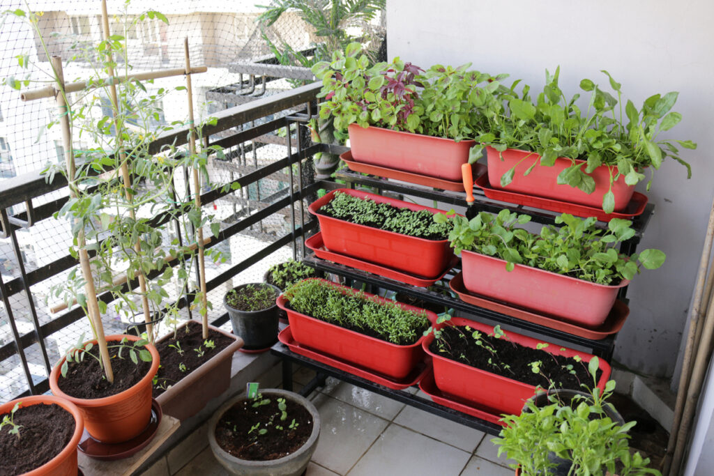 Kräuterbeet auf dem Balkon Die besten Tipps