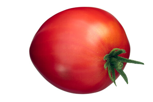 Ochsenherz-Tomate