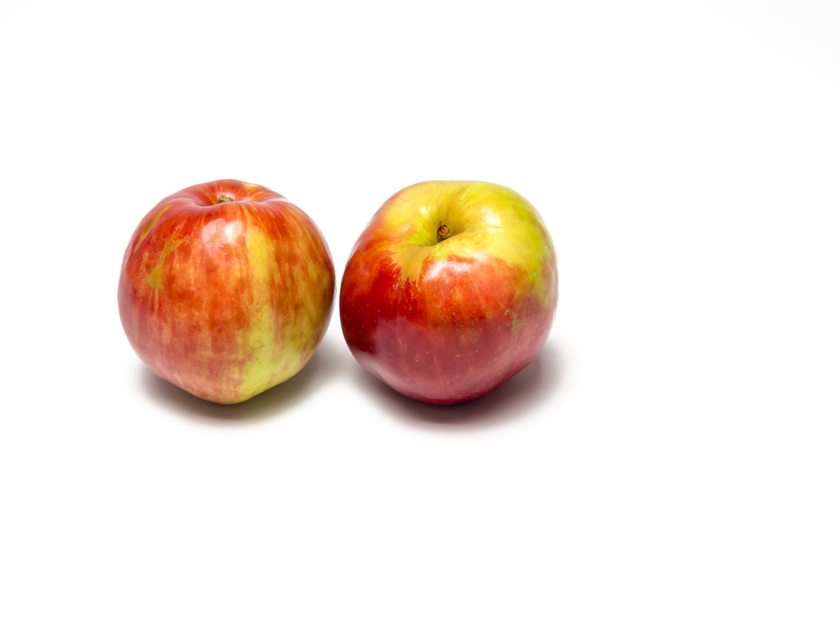 Alte ApfelbaumSorten Die leckersten Arten mit Geschichte