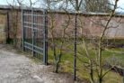 apfelbaum-hecke